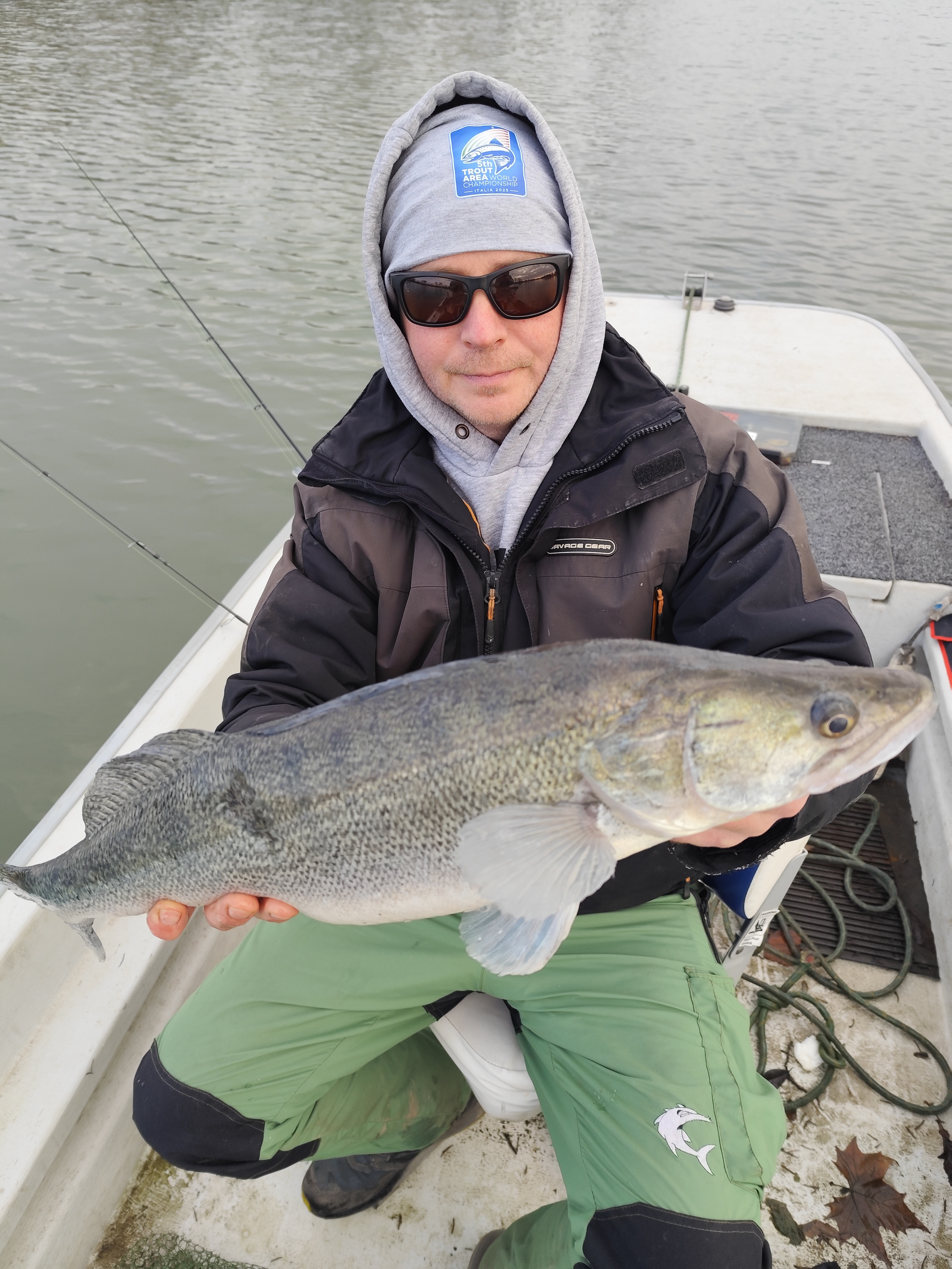 HFL Slender Shad 4